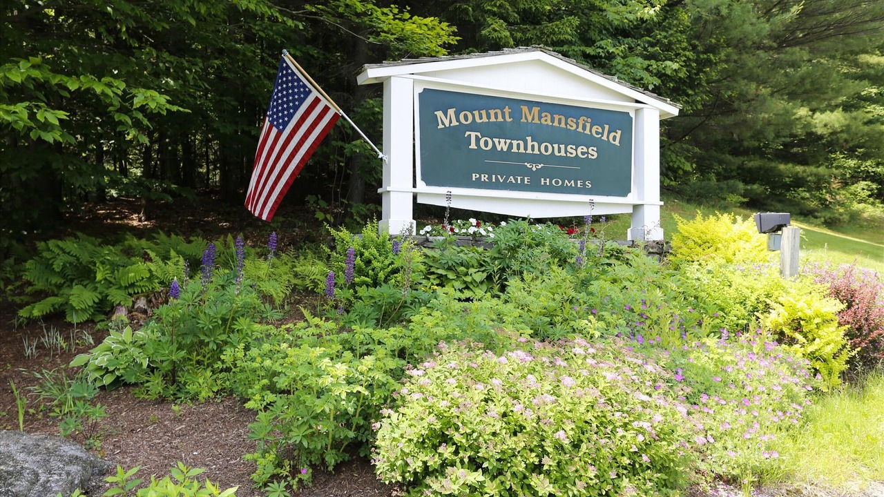 Photo of Outdoor in Stowe Area