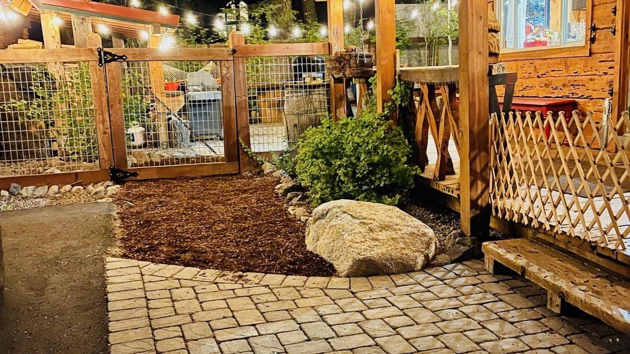 Photo of Outdoor in Timberland