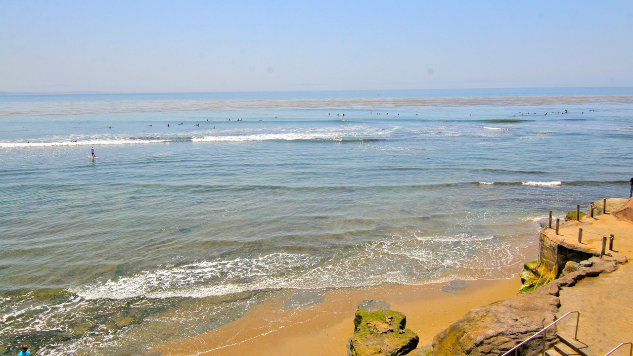 Photo of Others in Opal Cliffs