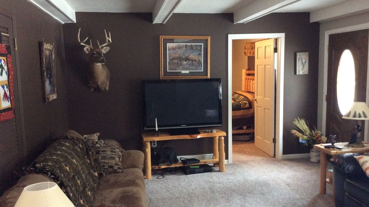 Photo of Livingroom in Kalkaska