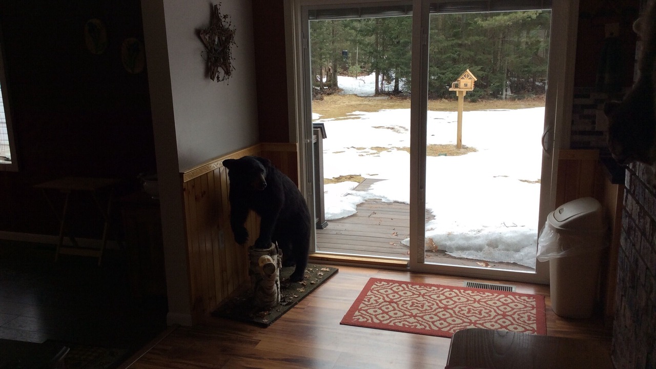 Photo of Others in Kalkaska