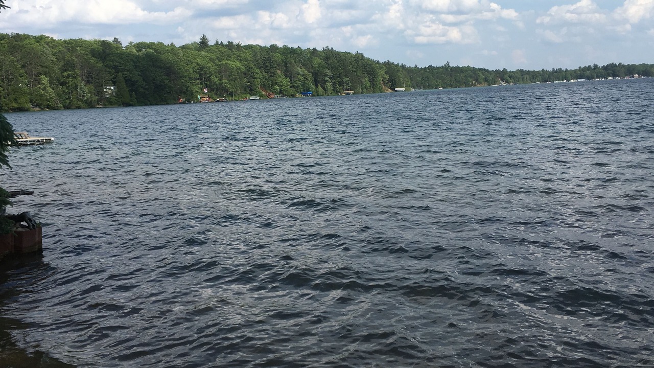 Photo of Outdoor in Kalkaska