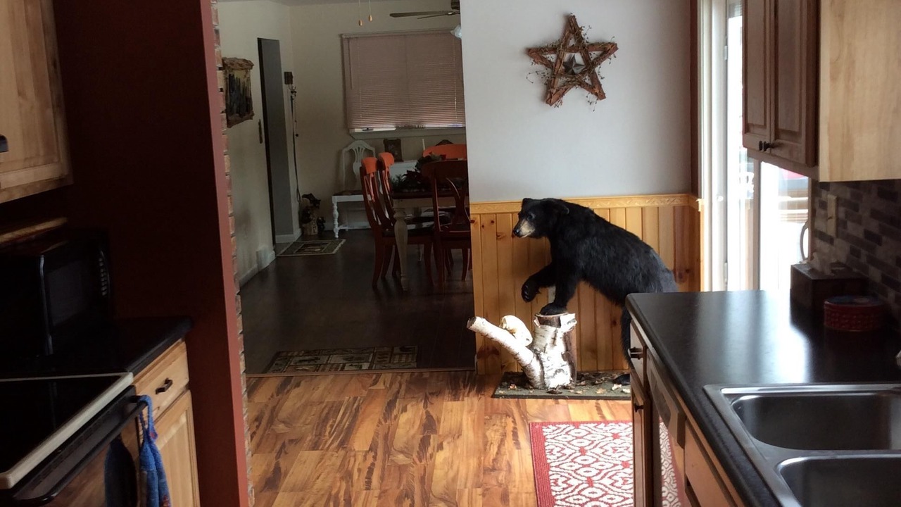 Photo of Kitchen in Kalkaska