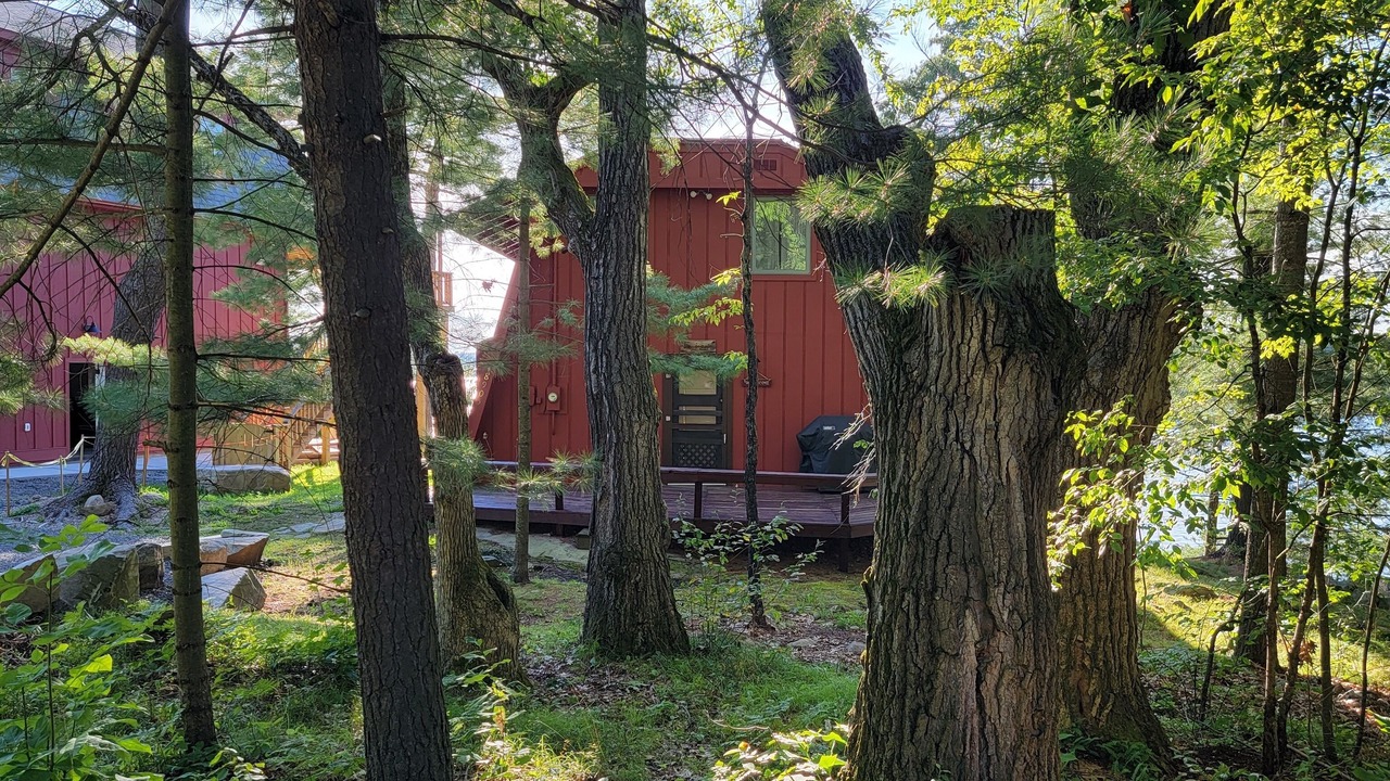 Photo of Others in Redwood