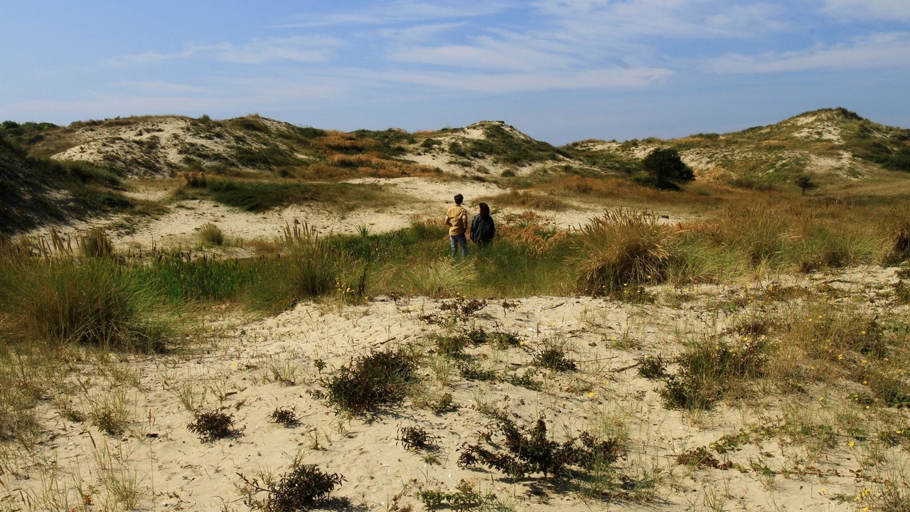 Photo of Others in Fort-Mahon-Plage