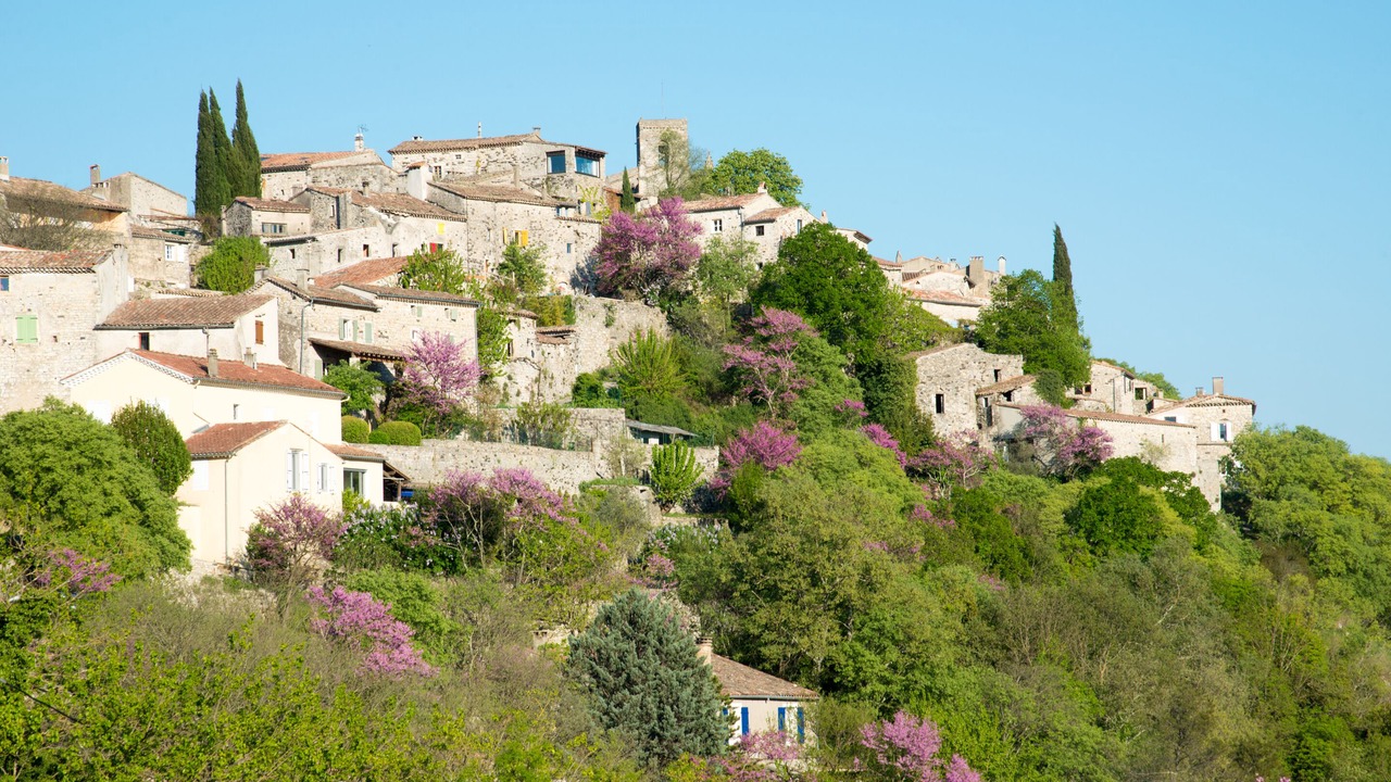 Photo of Others in Saint-Thome