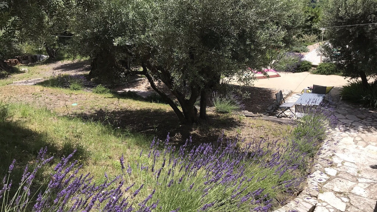 Photo of Outdoor in Volx