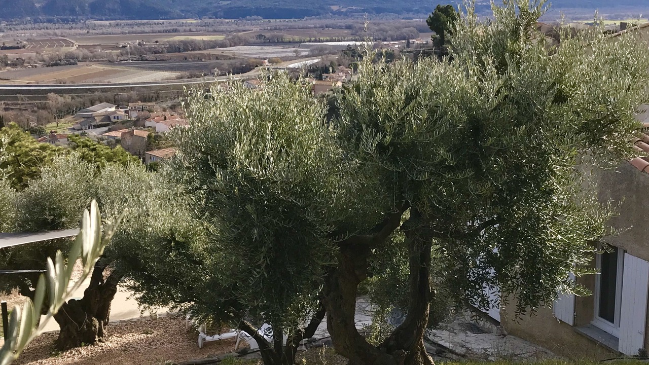 Photo of Outdoor in Volx