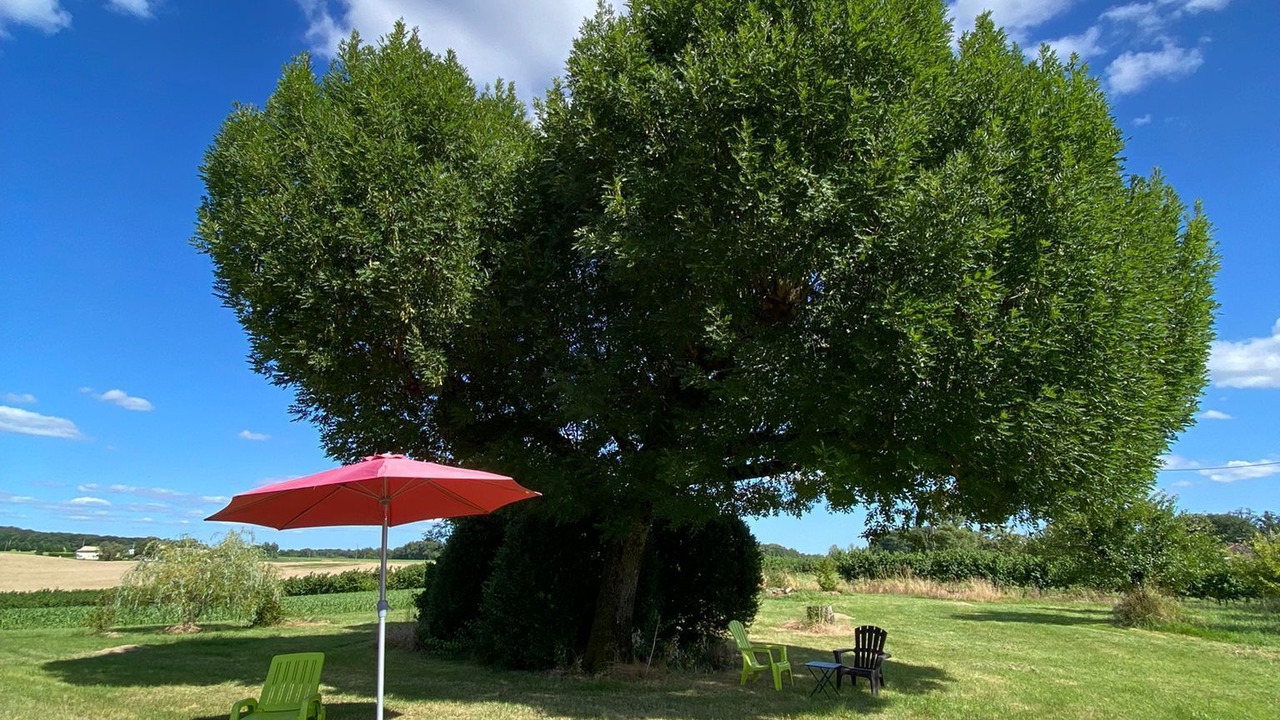 Photo of Outdoor in Lacaussade