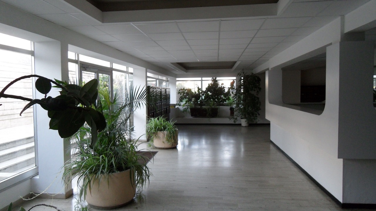 Photo of Others in Le Ricanto