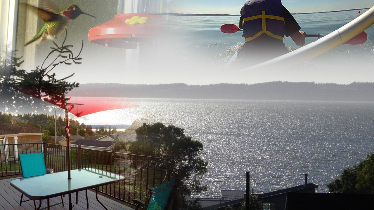 Photo of Outdoor in Camano Island