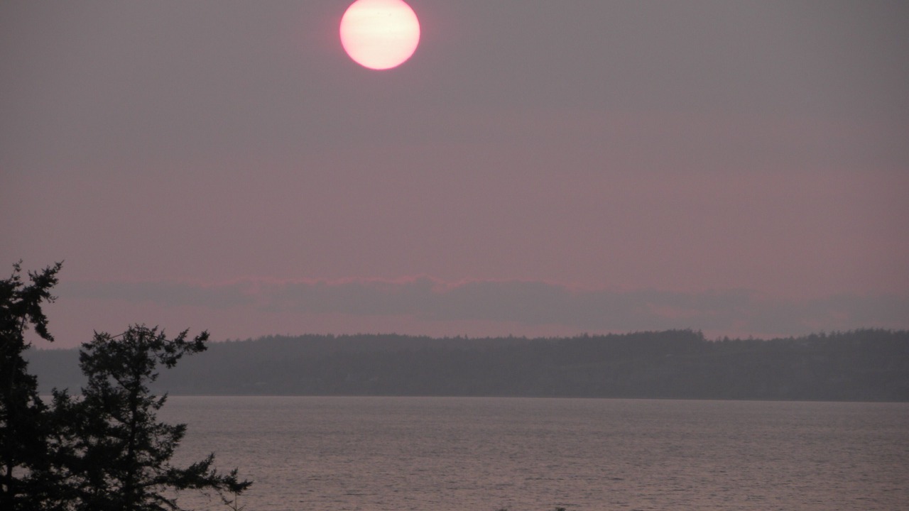 Photo of Others in Camano Island