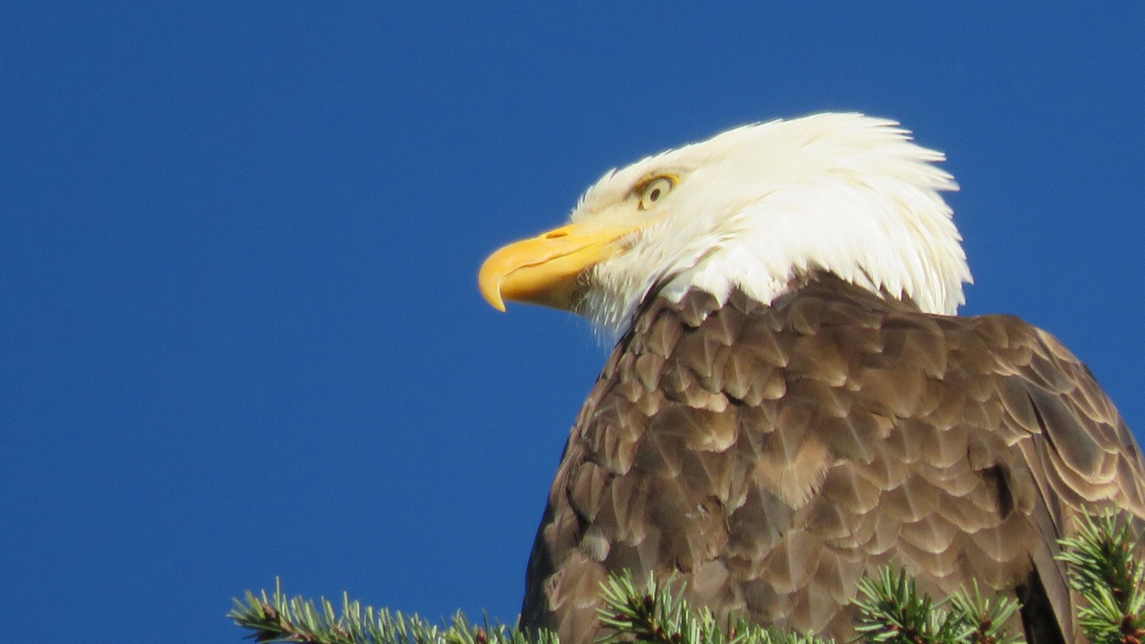 Photo of Outdoor in Camano Island