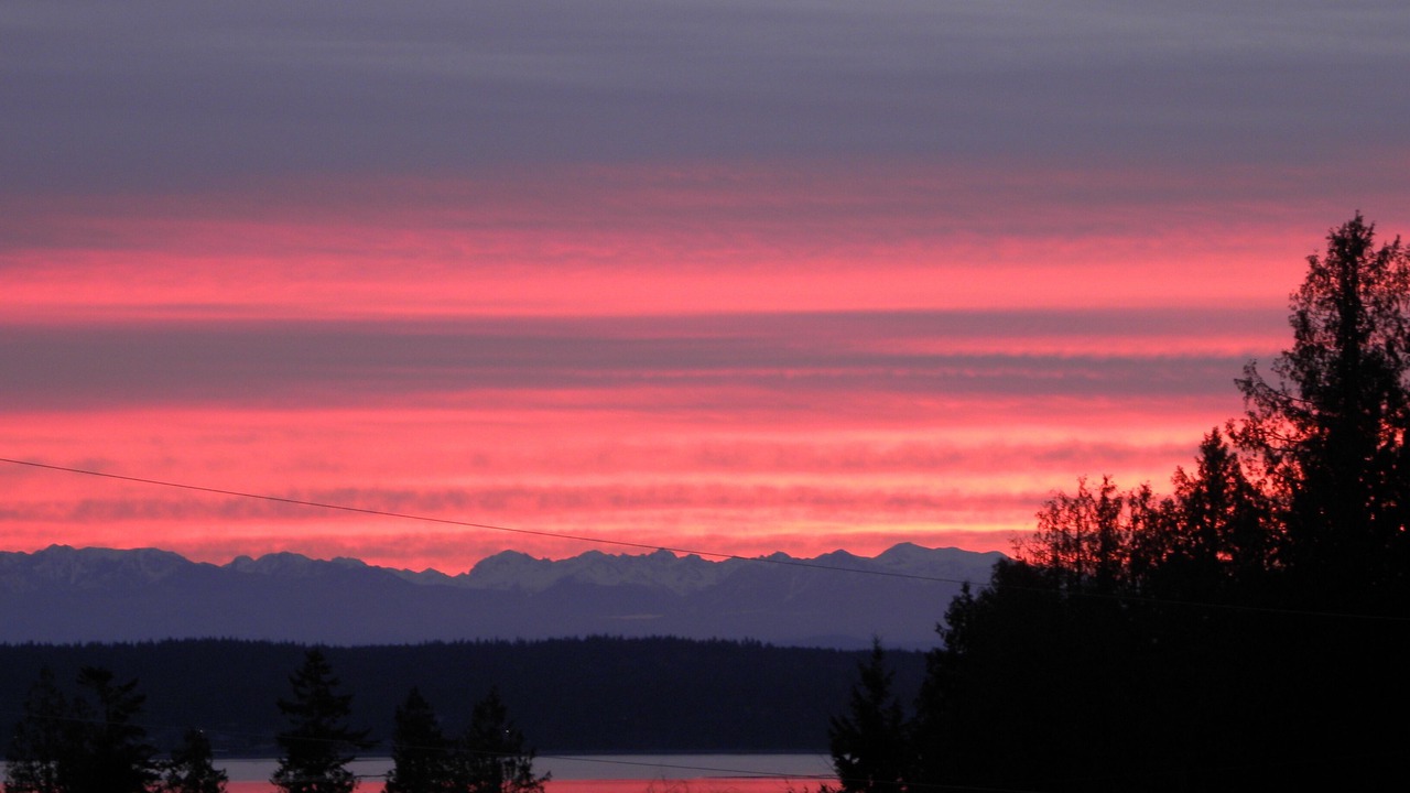 Photo of Others in Camano Island
