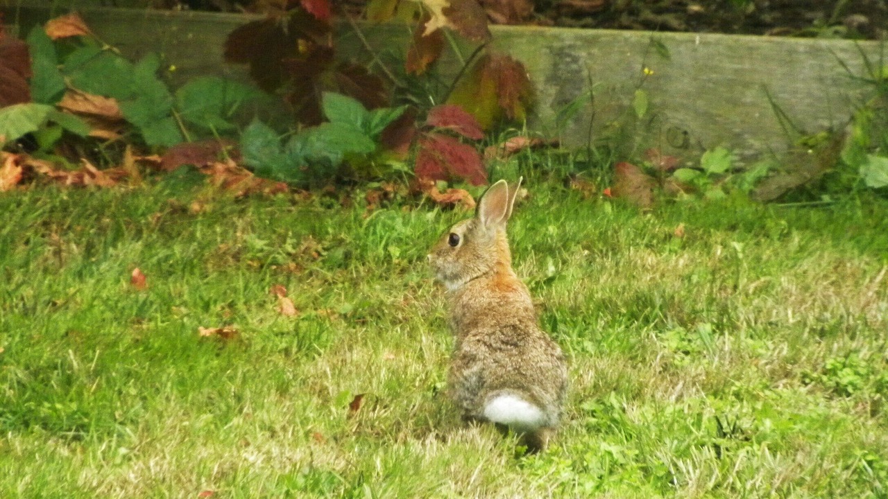 Photo of Outdoor in Camano Island
