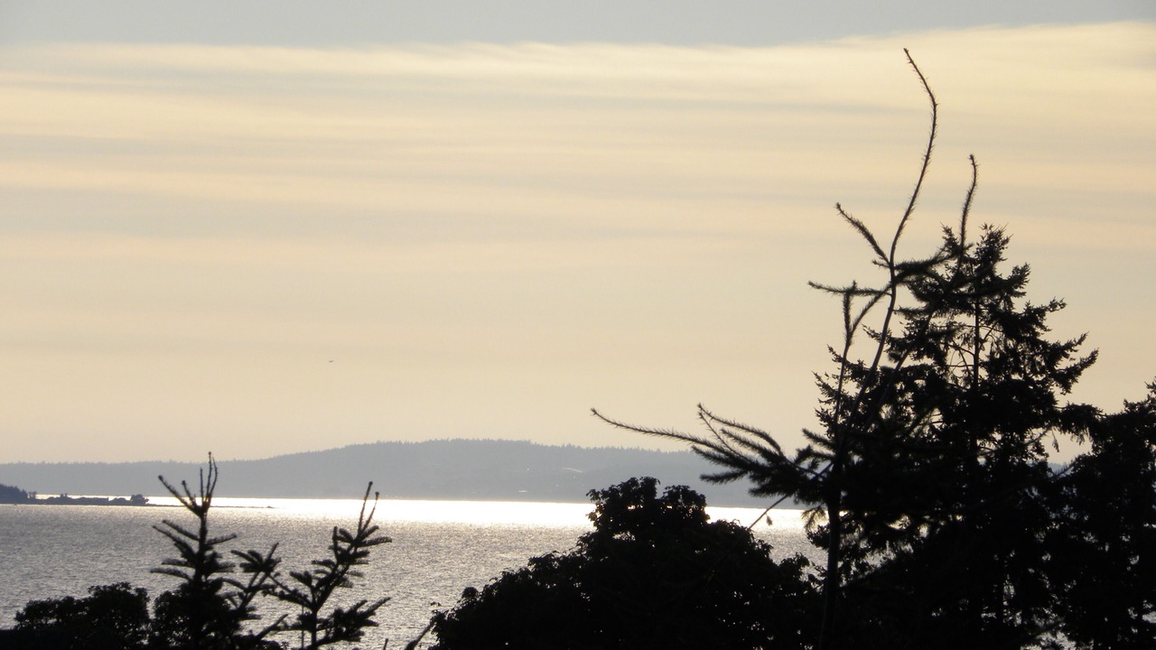 Photo of Others in Camano Island