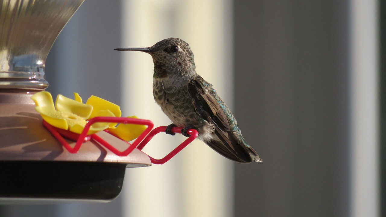 Photo of Others in Camano Island