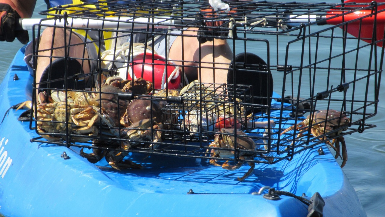 Photo of Others in Camano Island