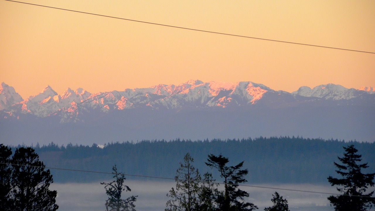 Photo of Others in Camano Island