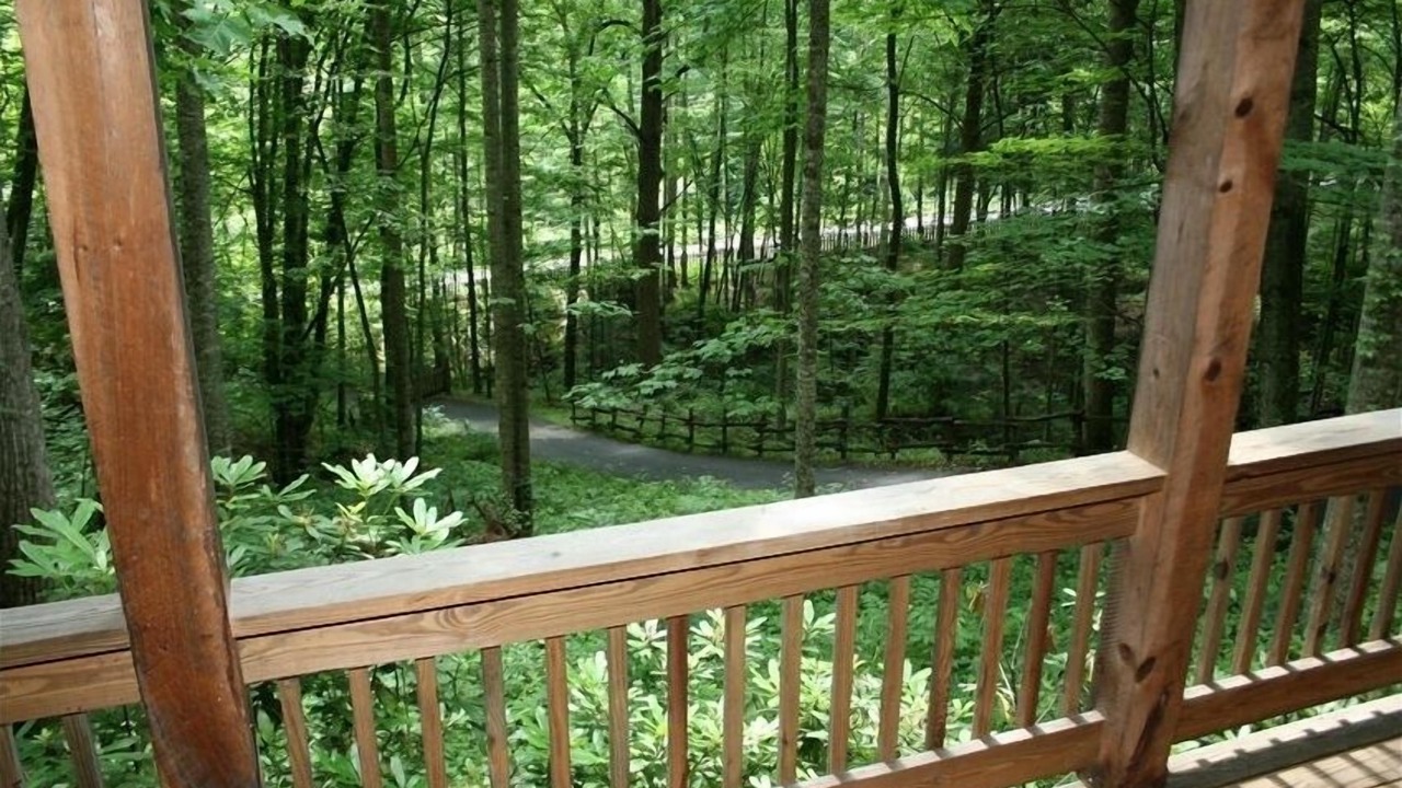 Photo of Outdoor in Waynesville