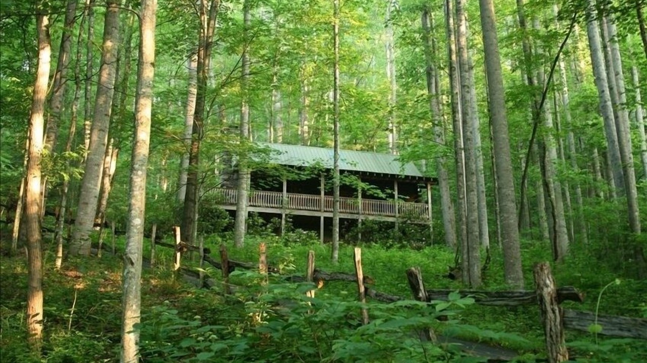 Photo of Others in Waynesville