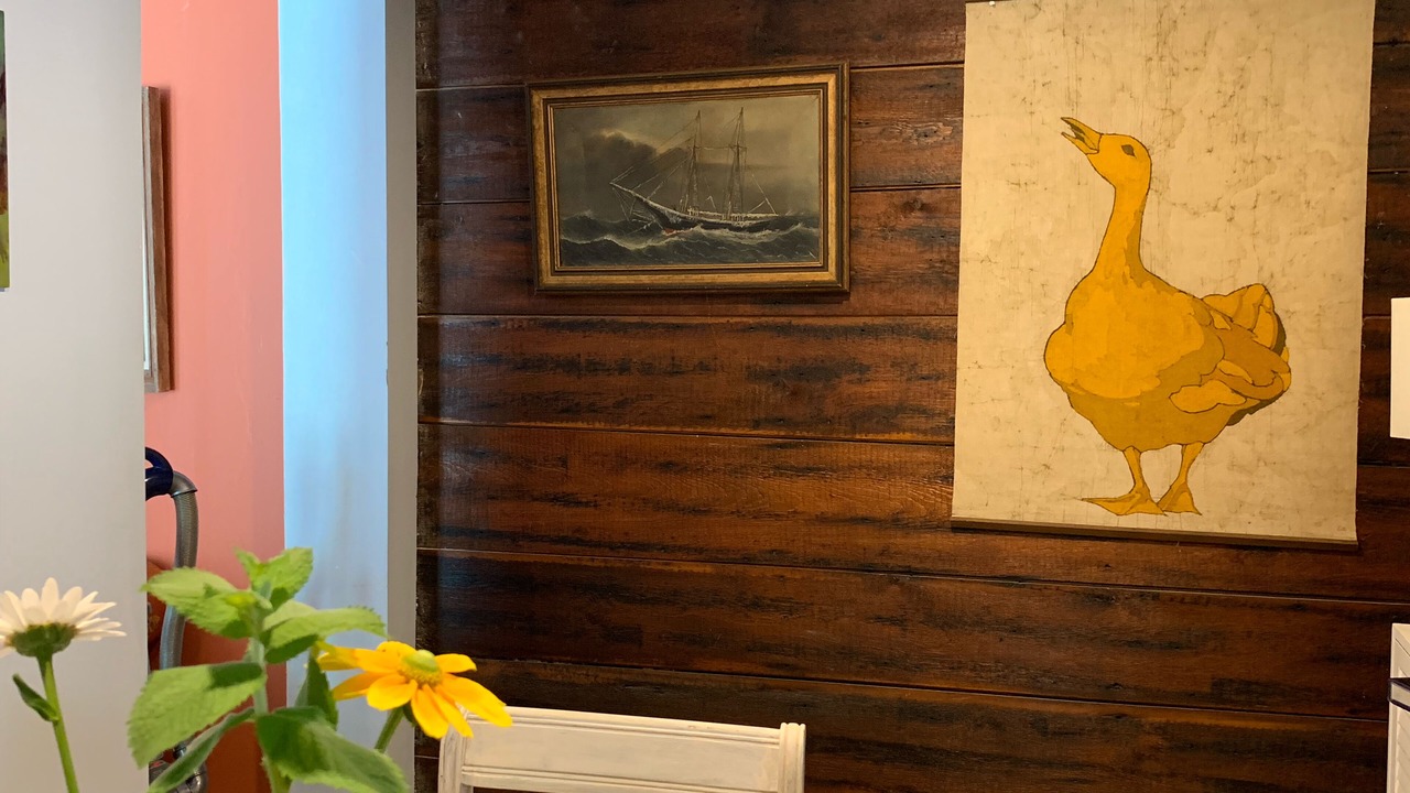 Photo of Others in Damariscotta