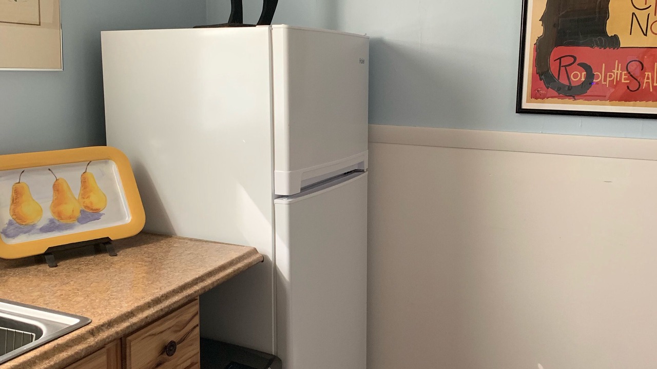 Photo of Others in Damariscotta