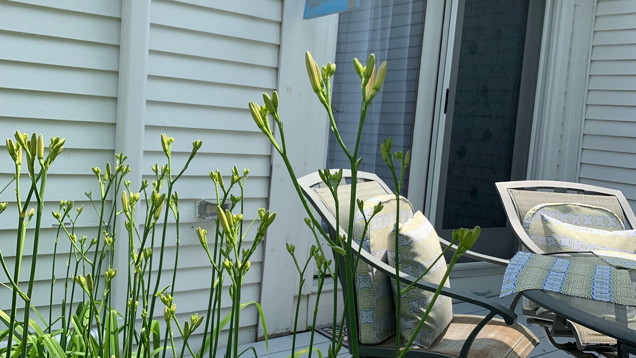 Photo of Outdoor in Damariscotta