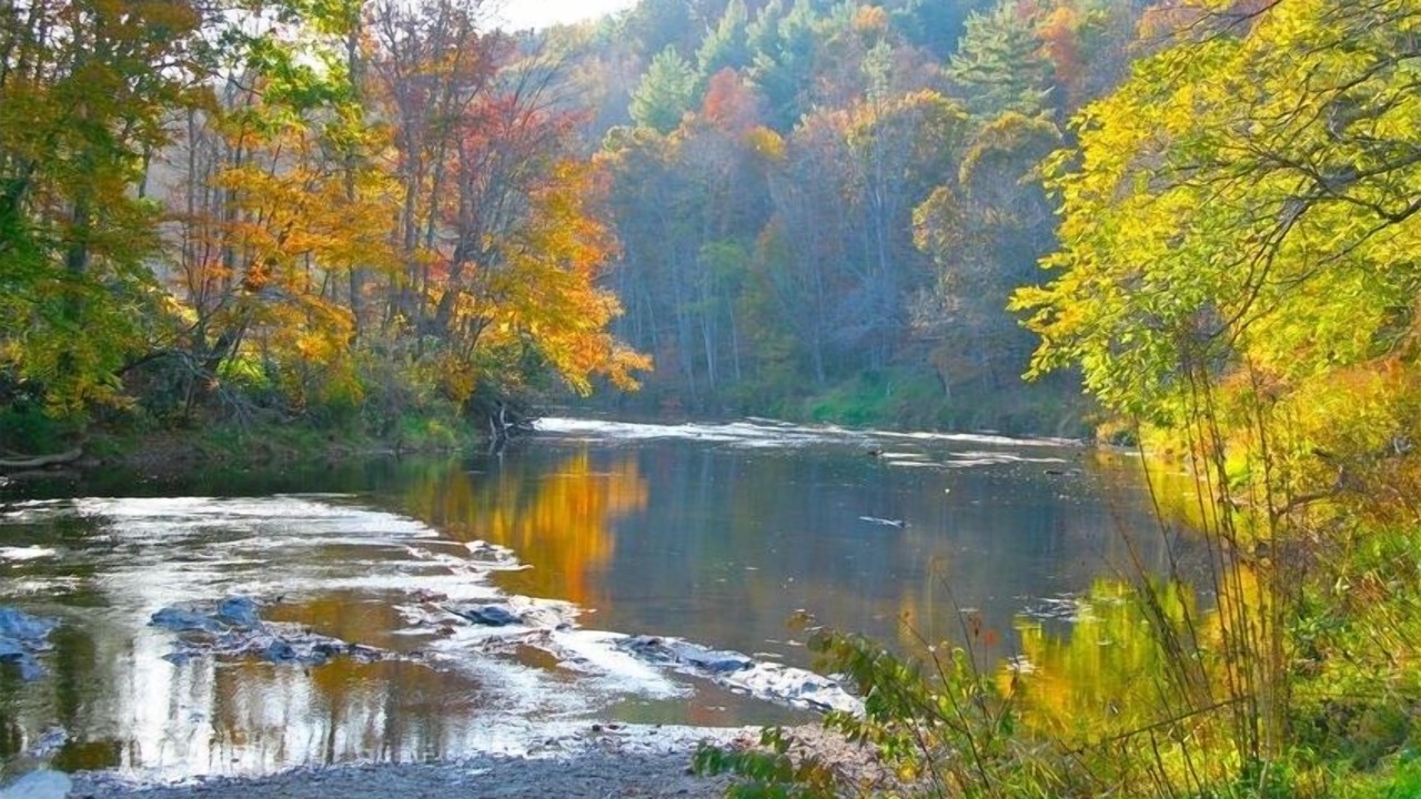 Photo of Others in West Jefferson