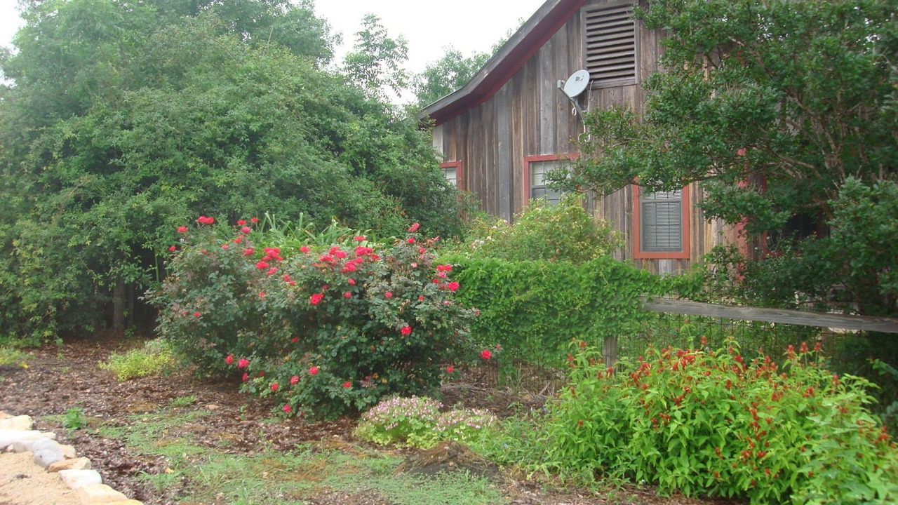 Photo of Outdoor in Seguin