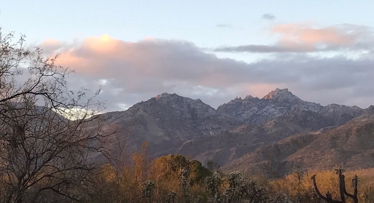 Photo of Others in Tanque Verde