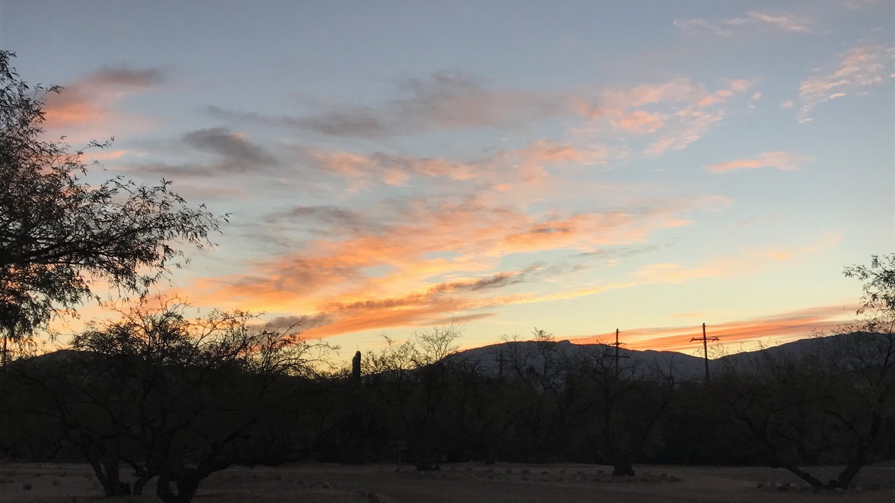 Photo of Others in Tanque Verde