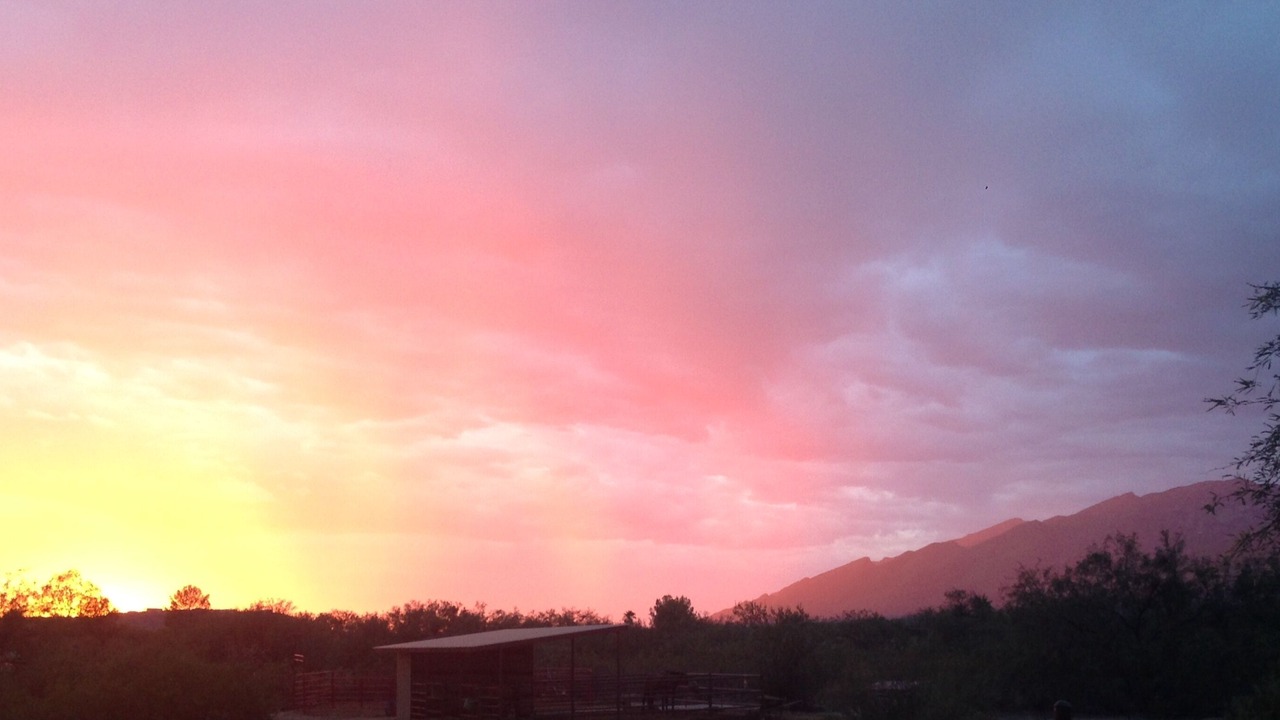 Photo of Others in Tanque Verde