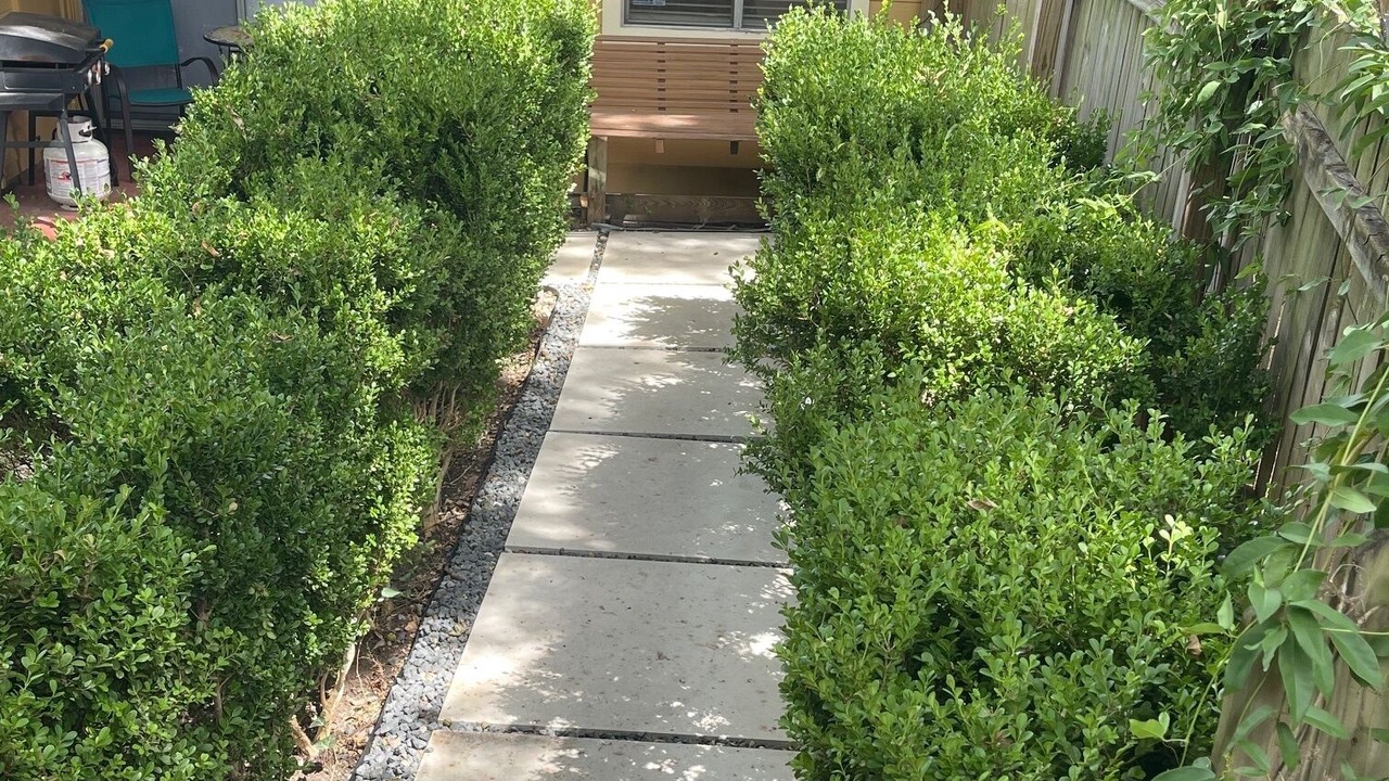Photo of Others in South Lamar