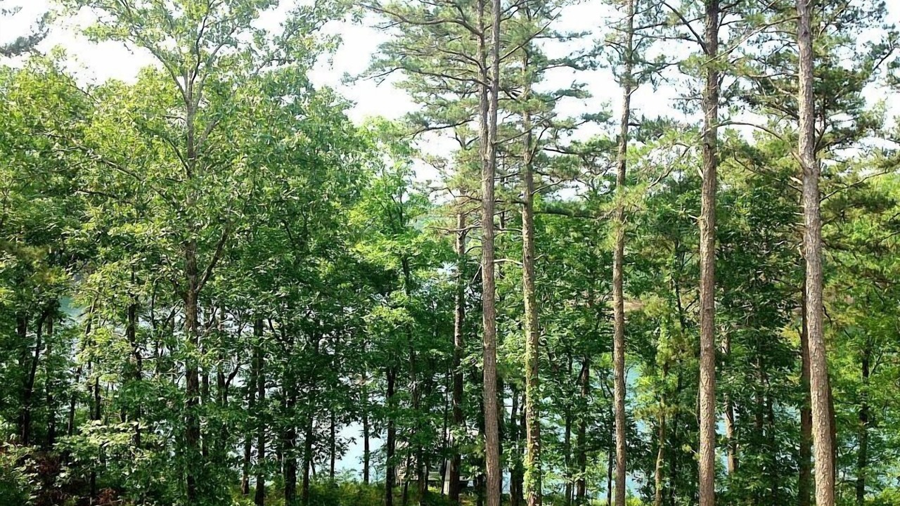Photo of Outdoor in Drasco