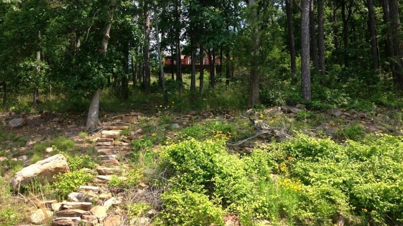 Photo of Outdoor in Drasco