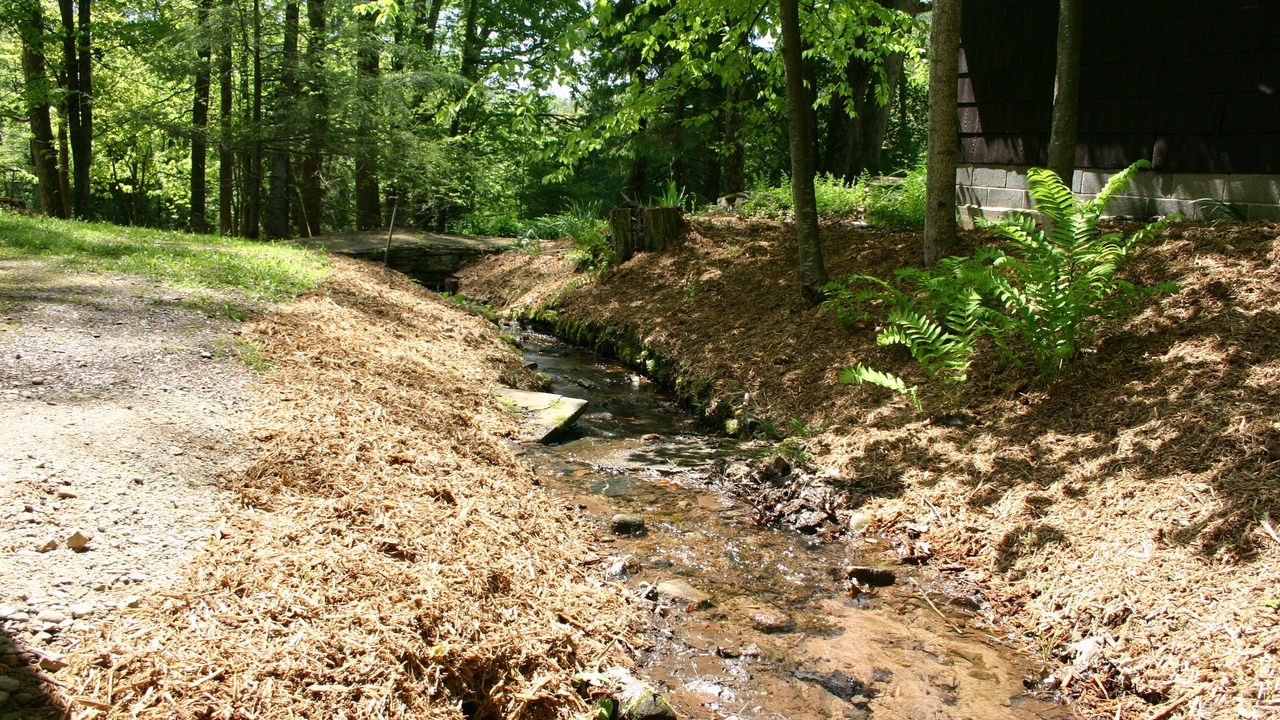 Photo of Outdoor in Benton