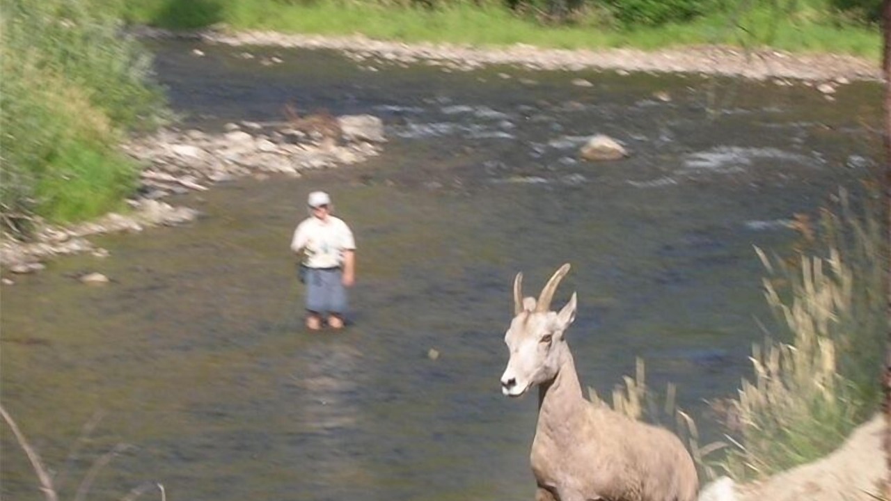 Photo of Others in Conner