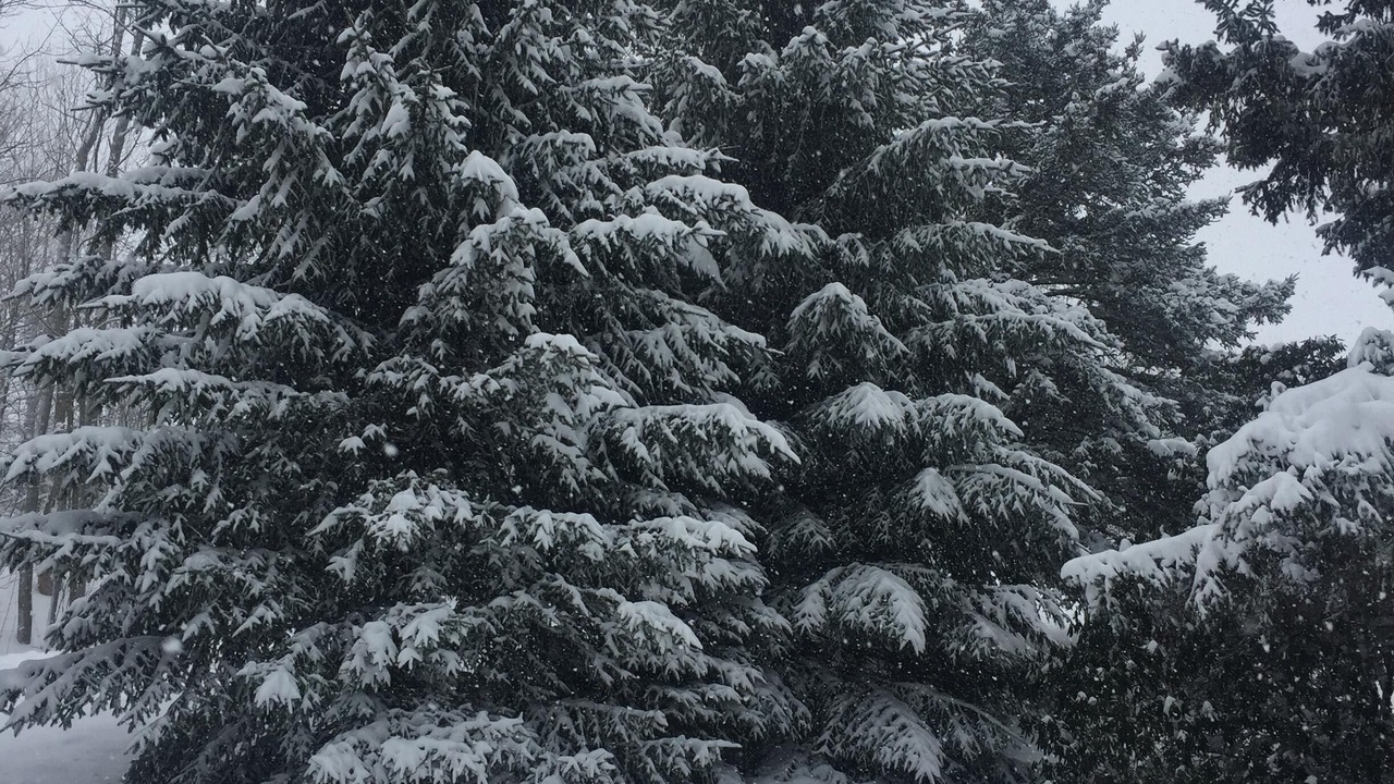 Photo of Others in Ellicottville