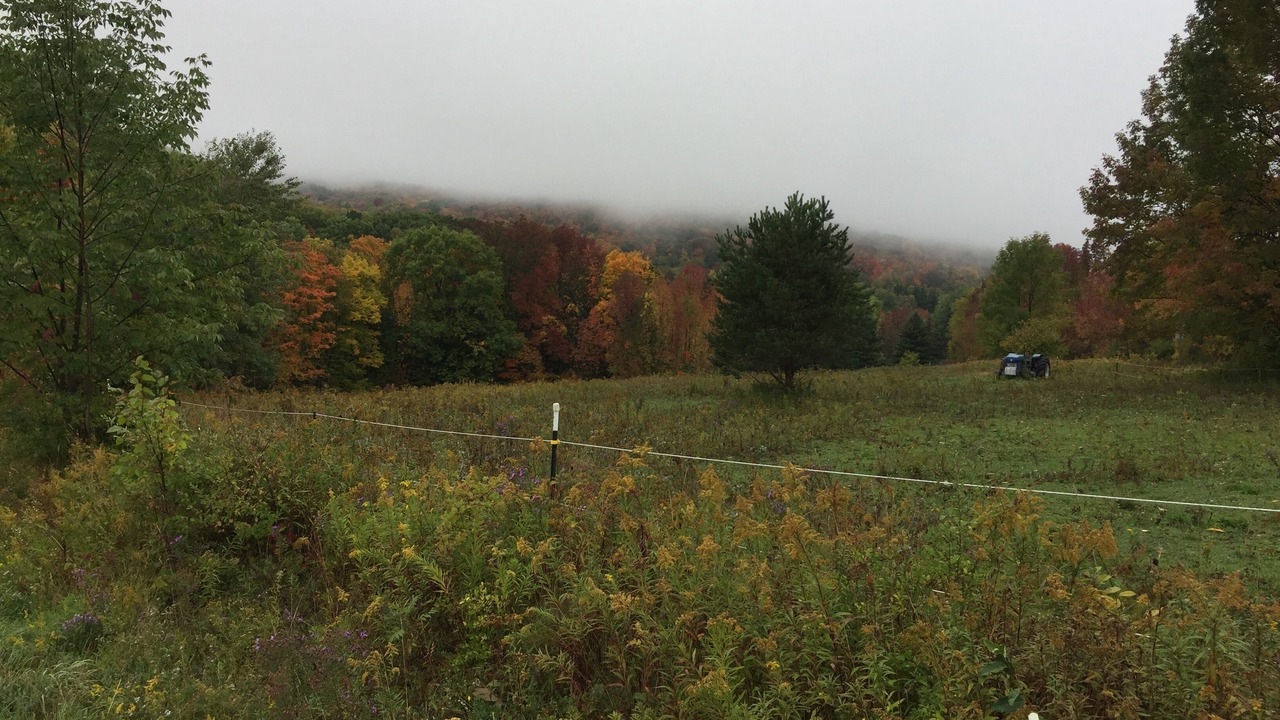 Photo of Others in Ellicottville