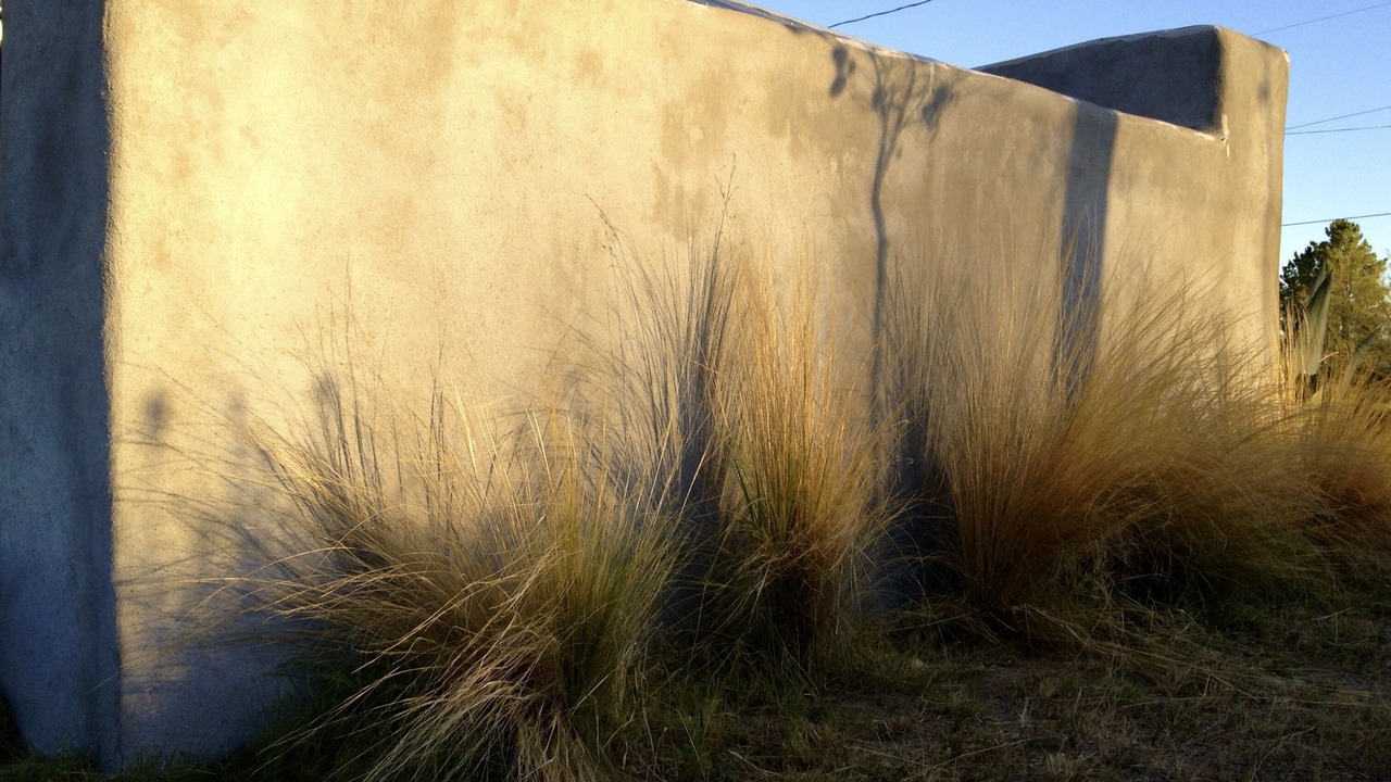Photo of Others in Marfa