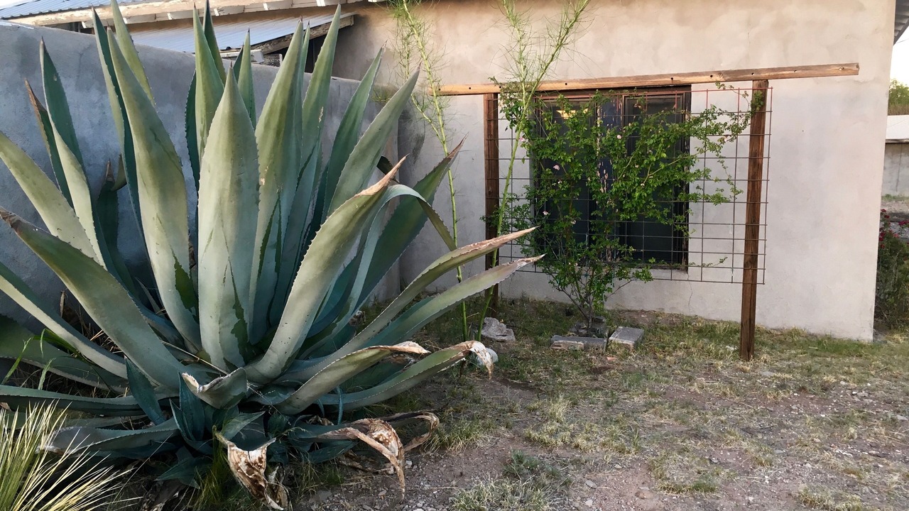 Photo of Outdoor in Marfa