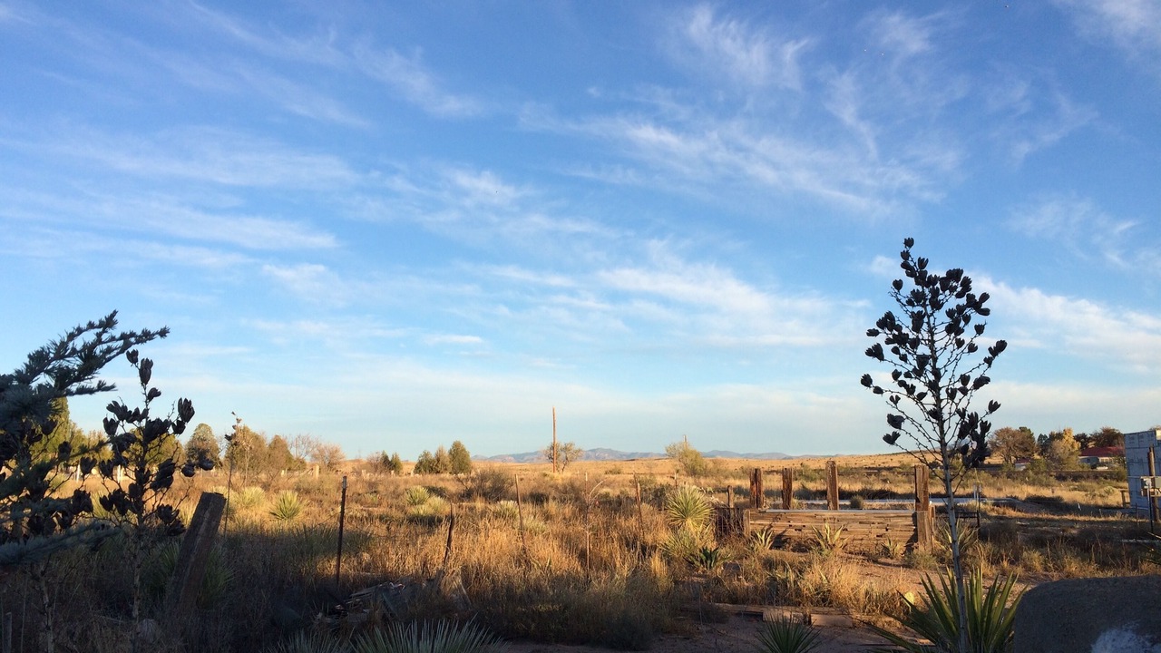 Photo of Others in Marfa
