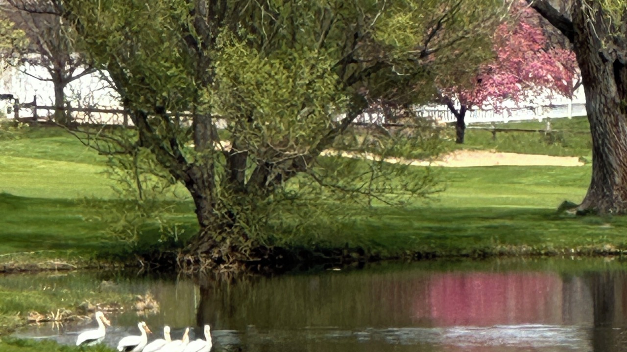 Photo of Others in Lafayette