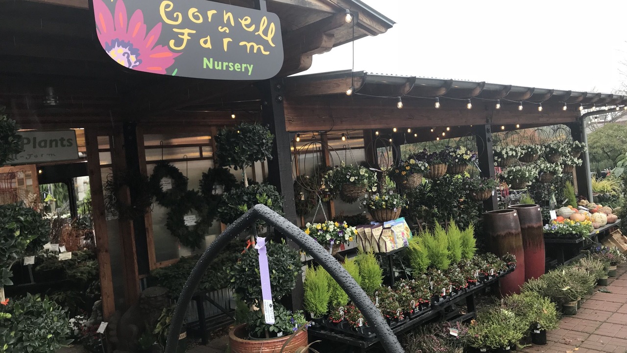 Photo of Others in West Haven-Sylvan