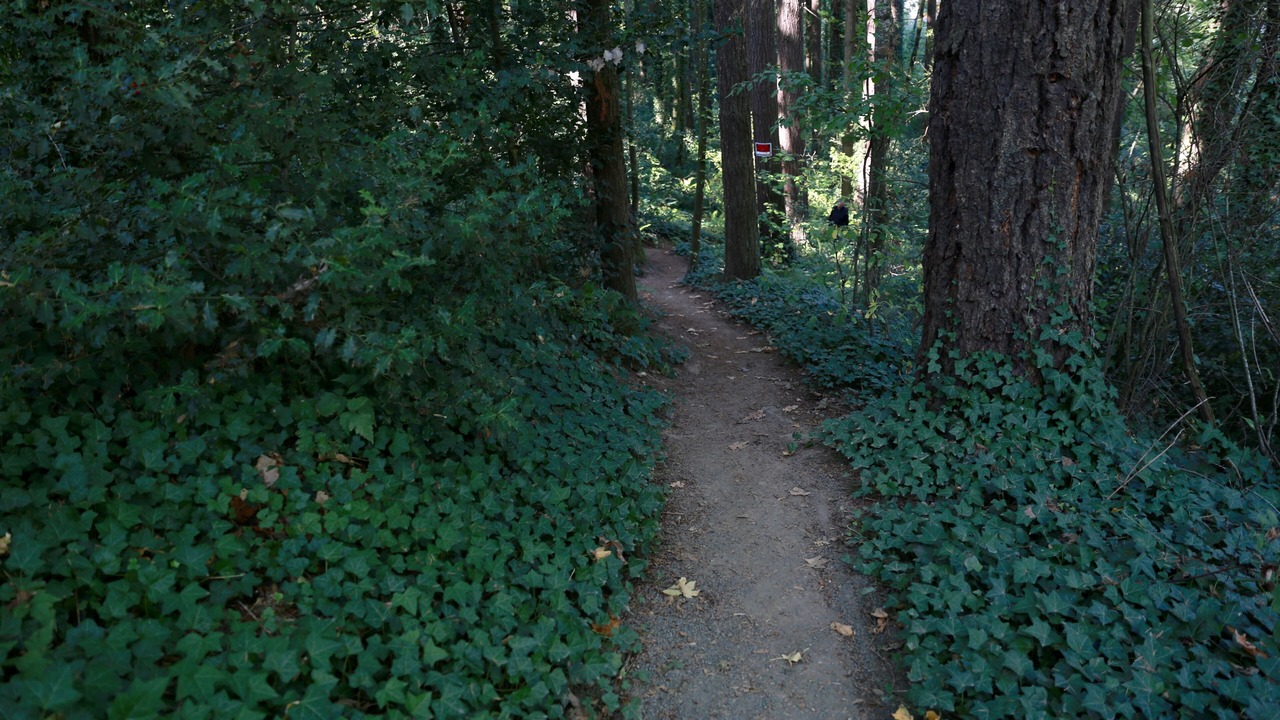 Photo of Outdoor in West Haven-Sylvan