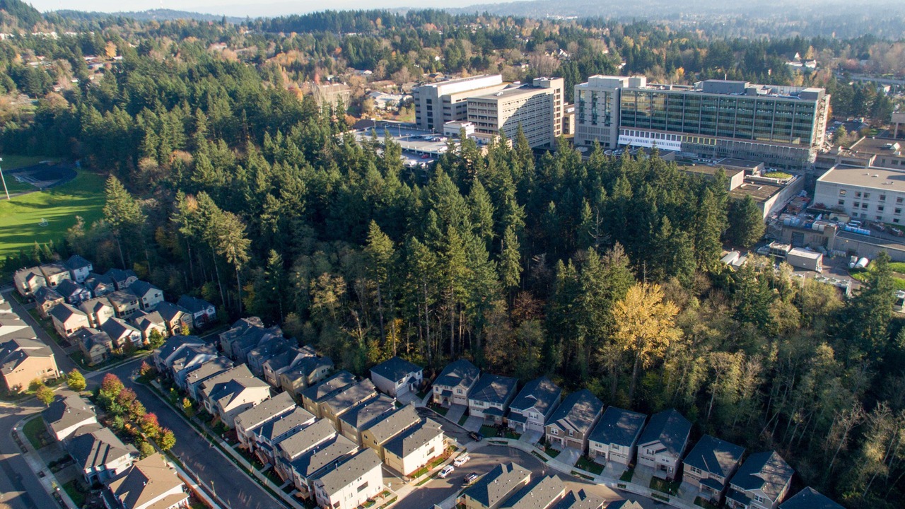 Photo of Outdoor in West Haven-Sylvan