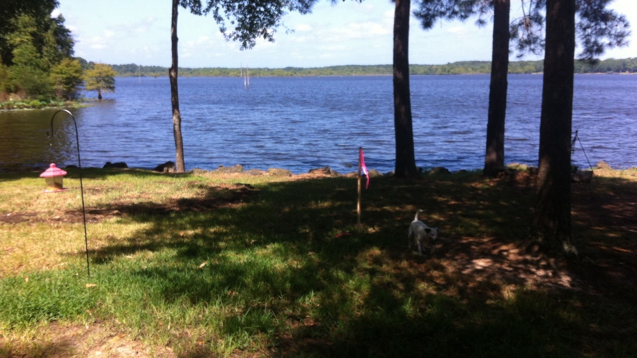 Photo of Others in Hemphill