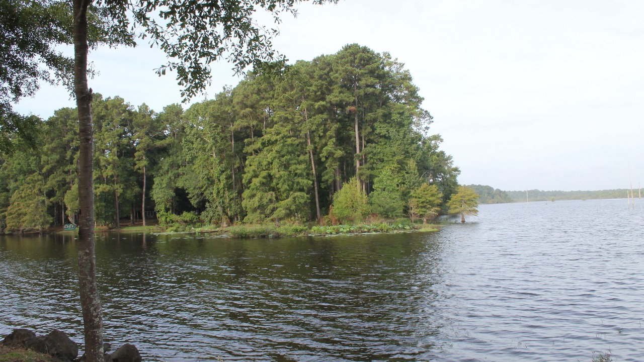 Photo of Others in Hemphill