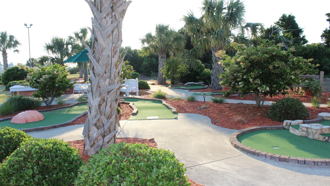 Photo of Others in Morehead City